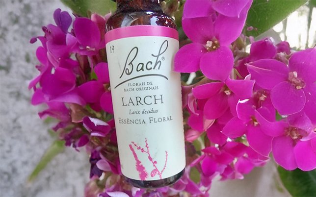 Monique Fisher Terapeuta integrativa, terapia, florais de bach, reiki, meditação e constelação familiar. Atendimento online e presencial em São Paulo SP. Consultoria e terapia para empresas.